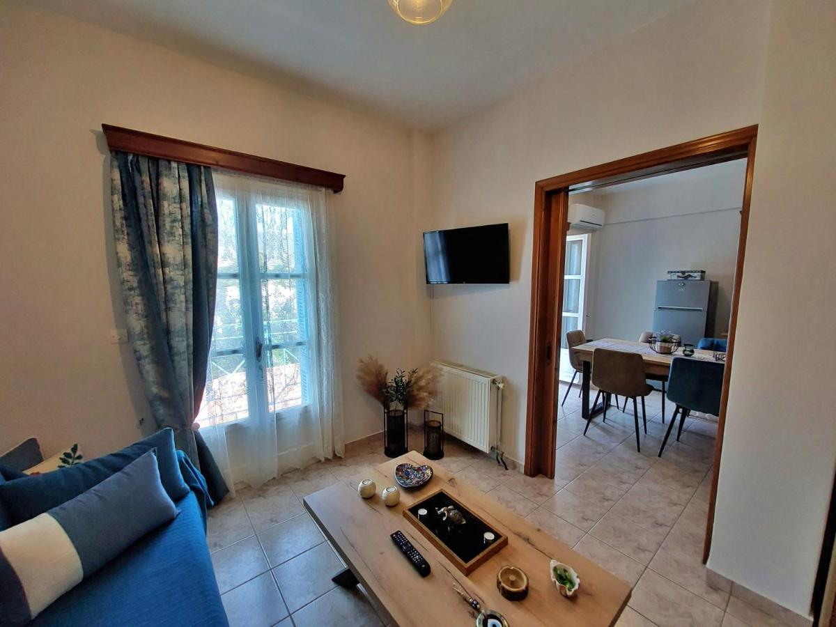 Anemone Bleu-Sea View-200M From Chora Pedestrian Apartment Andros Town Ngoại thất bức ảnh